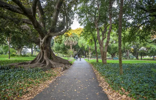 Hyde Park 'taki Sahne Yolu Yeşillik ve Güzel Ağaçlarla çevrili, Perth, Avustralya, 12 Nisan 2020