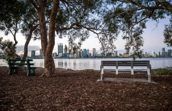 Park Bankları Skyline ve Swan River Rıhtımı Huzurlu Doğa Ayarları, Perth, Avustralya, 15 Nisan 2020