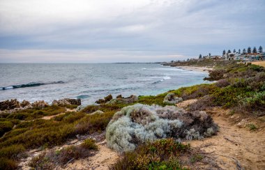 Hamersley Havuzu 'nun Dalgalar, Bitkiler ve Uzak Yerleşim Alanı, Perth, Avustralya, 17 Nisan 2020