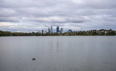 Önde Ördekli Monger Sahnesi ve Arka planda City Skyline, Perth, Avustralya, 24 Nisan 2020