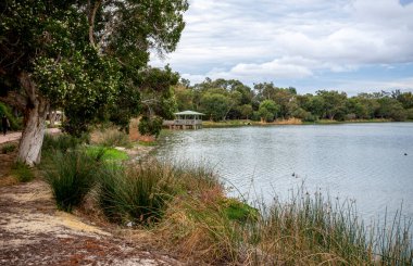 Ağaç, Çimen ve Huzurlu Lakeside Sahnesi ve 24 Nisan 2020 'de Monger Gölü, Perth, Avustralya' da Huzurlu Gözlem Verandası