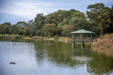 Lake Scene with Gazebo and Lush Forest Surround at Lake Monger, Perth, Avustralya, 24 Nisan 2020