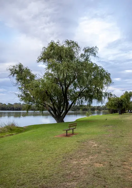 Serene Gölü Monger Park Manzarası Benç ve Ağaç, Perth, Avustralya, 24 Nisan 2020