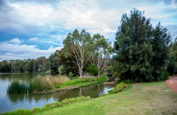 Lush Trees ve Calm Reflections ile Göl Monger, Perth, Avustralya, 24 Nisan 2020