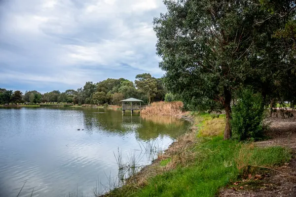 Göl Monger, Perth, Avustralya 'daki Orman Parkı' nda 24 Nisan 2020 'de Gazebo ile birlikte