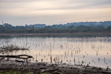 Sunset, Perth, Avustralya, 27 Nisan 2020 'de Yansıyan Gökyüzü ve Çimenlerle Serene Joondalup Gölü