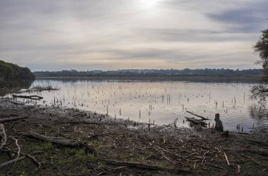 Serene Wetland Manzarası 27 Nisan 2020 Joondalup Gölü, Perth, Avustralya 'da Bulutlu Gökyüzü Yansımaları Altında