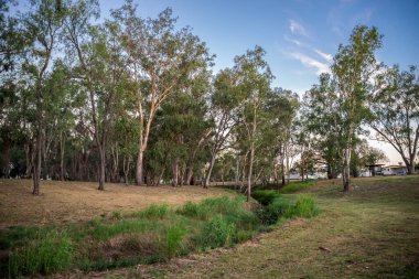 Blue Sky, Roma, Avustralya, 28 Kasım 2020 'de Küçük Dar Dere Irmağı ve Ağaçlı Huzurlu Orman Sahnesi