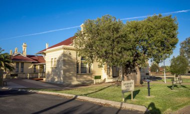 Tarihi Adliye Binası ve Ağacın Dışında, Güneşli Açık Hava Sahnesi, Roman, Avustralya, 29 Kasım 2020