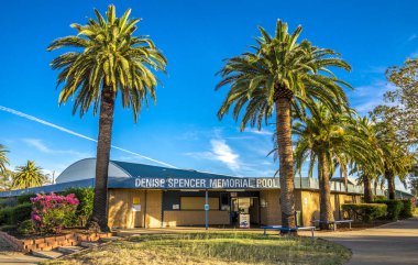 Denise Spencer Halka Açık Yüzme Havuzu 'na Ön, Roma, Avustralya' da Uzun Tropikal Palmiye Ağaçlarıyla Giriş, 29 Kasım 2020