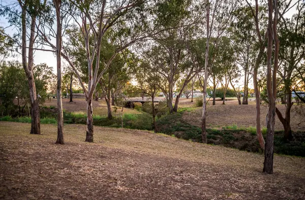 Güneşin batışında, Roma, Avustralya 'da, 28 Kasım 2020' de Ağaçlar ve Açık Arazi
