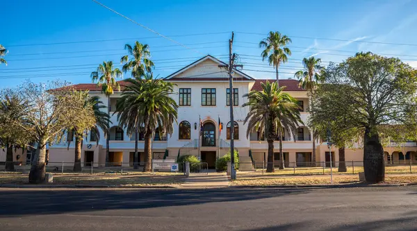 Güneşli bir günde Palmiye Ağaçları ve Şişe Ağaçlarıyla Güneybatı Hastanesi ve Sağlık Hizmetleri Koloni Biçimi 29 Kasım 2020