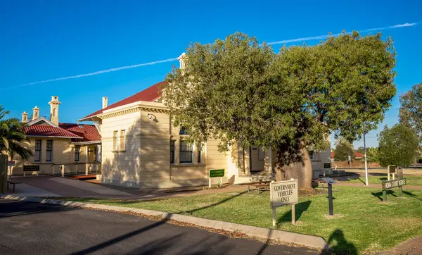 Tarihi Adliye Binası ve Ağacın Dışında, Güneşli Açık Hava Sahnesi, Roman, Avustralya, 29 Kasım 2020