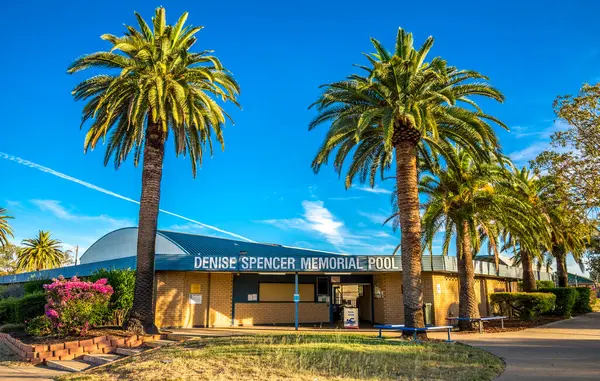 Denise Spencer Halka Açık Yüzme Havuzu 'na Ön, Roma, Avustralya' da Uzun Tropikal Palmiye Ağaçlarıyla Giriş, 29 Kasım 2020