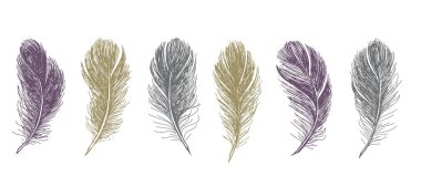 Beyaz arkaplanda el çizimi tüy