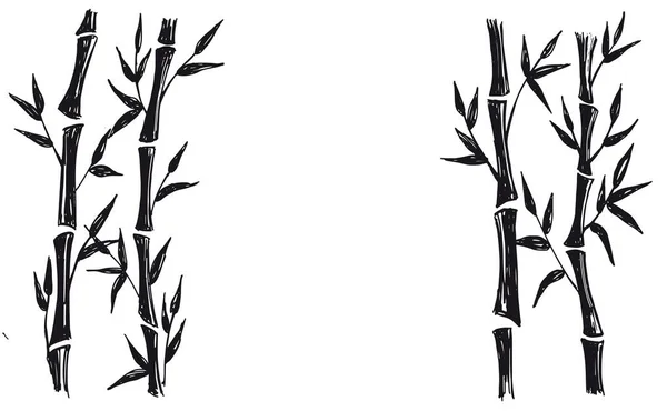 Бамбуковое Дерево Ручной Стиль Векторные Иллюстрации — стоковый вектор