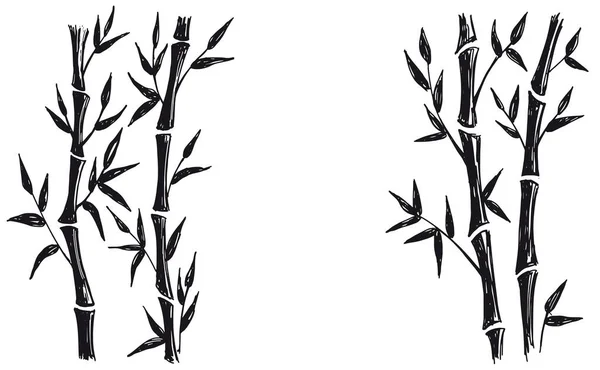 Бамбукове Дерево Стиль Намальований Вручну Векторні Ілюстрації — стоковий вектор