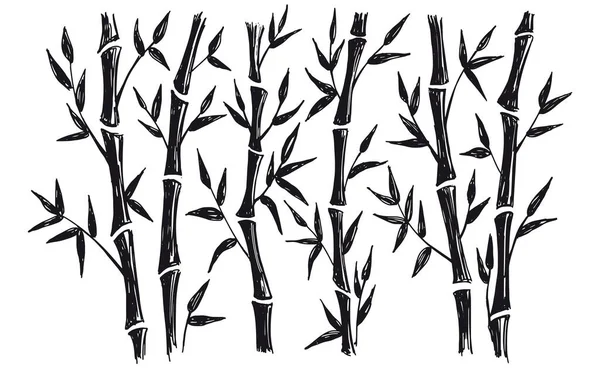 Бамбуковое Дерево Ручной Стиль Векторные Иллюстрации — стоковый вектор