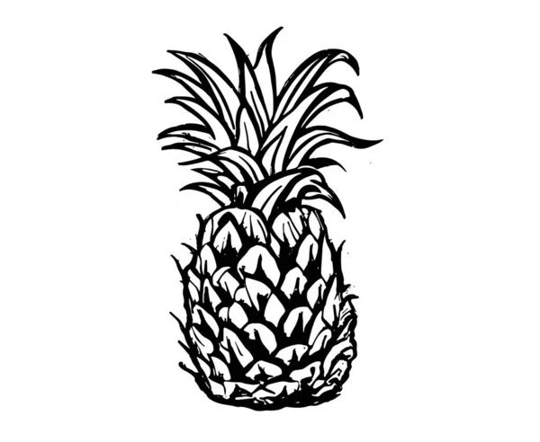 Ananas Handgetekende Illustraties Vector — Stockvector