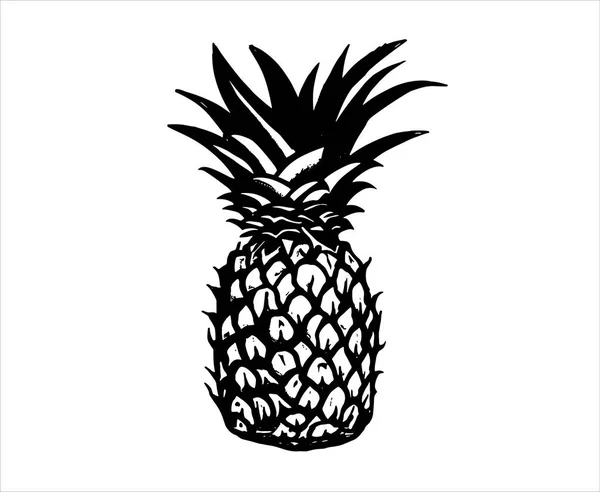 Ananas Handritade Illustrationer Vektor — Stock vektor