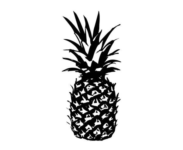 stock vector  Pineapple hand drawn illustrations, vector.