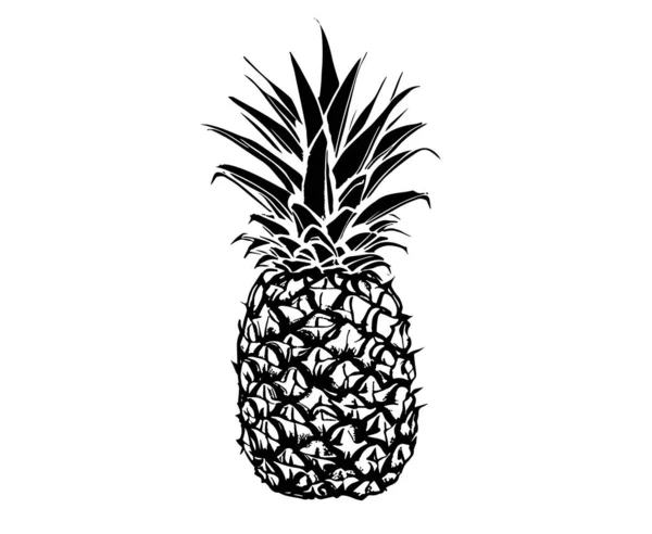 Ananas Ręcznie Rysowane Ilustracje Wektor — Wektor stockowy