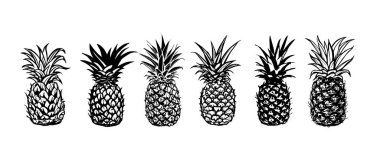 Ananaslı el çizimleri, vektör.