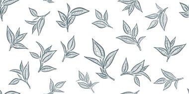 Yeşil çay yaprakları. El çizimi, vektör.