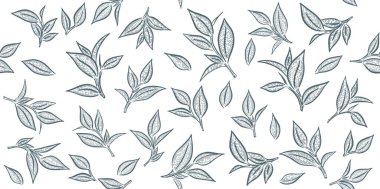 Yeşil çay yaprakları. El çizimi, vektör.