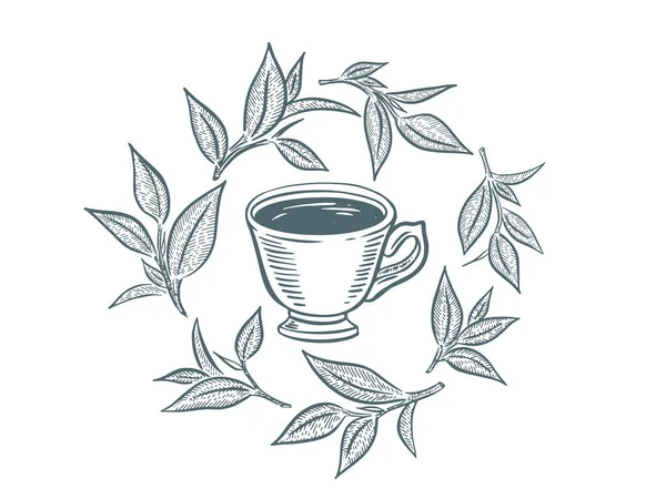 Кубок Зеленого Чая Рисунок Вручную Изолированный Белом — стоковый вектор