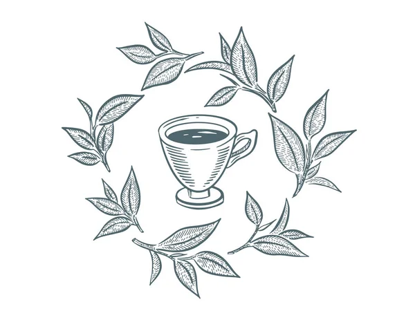 Copo Chá Verde Desenhado Mão Desenho Isolado Branco — Vetor de Stock