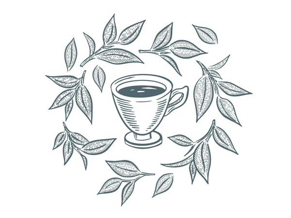 Copo Chá Verde Desenhado Mão Desenho Isolado Branco — Vetor de Stock