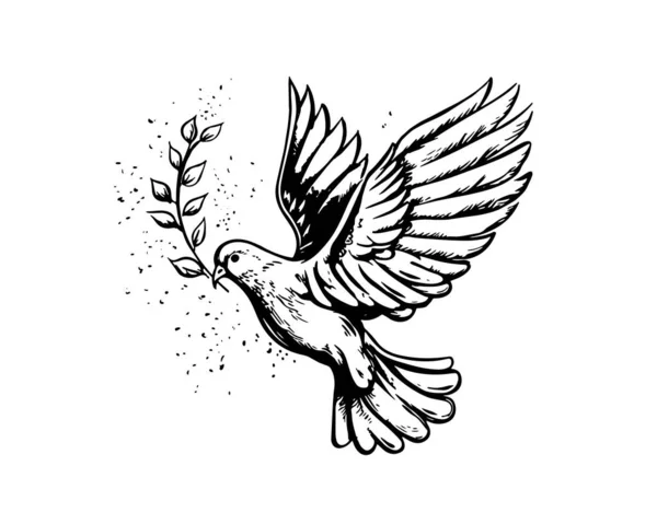 Zeytin Dalı Ile Uçan Barış Güvercini Çizimi Illüstrasyon Vektör — Stok Vektör
