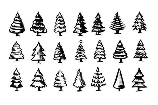 Conjunto Árvores Natal Ilustrações Desenhadas Mão —  Vetores de Stock