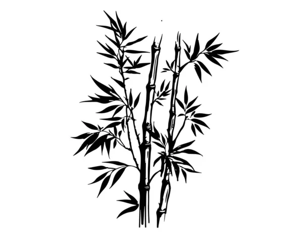 Bambusträd Handritad Stil Vektor — Stock vektor