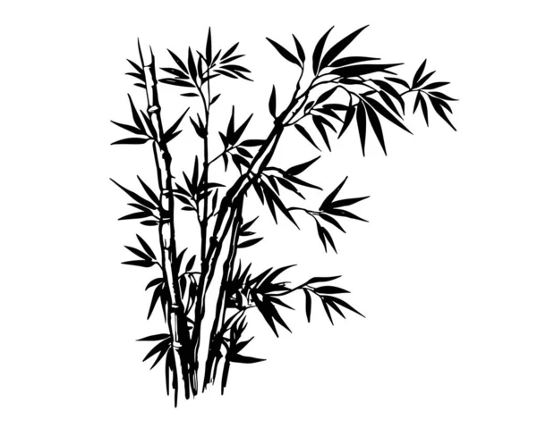 Bambou Style Dessiné Main Vecteur — Image vectorielle