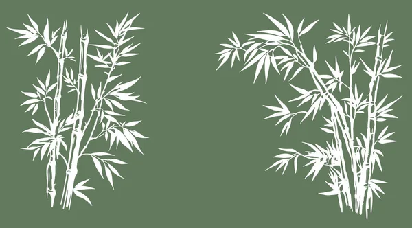 Bambou Style Dessiné Main Vecteur — Image vectorielle