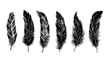 Beyaz arkaplanda el çizimi tüy