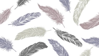 Beyaz arkaplanda el çizimi tüy