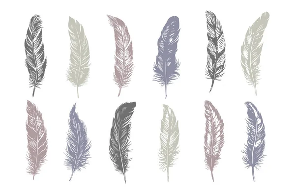 Hand Drawn Feather White Background — Stock Vector