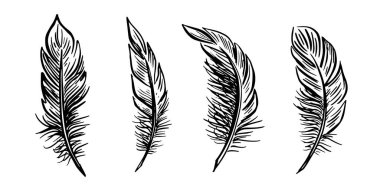 Tüy elle çizilmiş resimler ayarla.