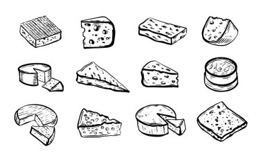 Peynir koleksiyonu. El çizimi illüstrasyon.