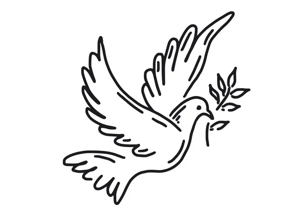 Dove Peace Hand Drawn Illustration — Stock Vector