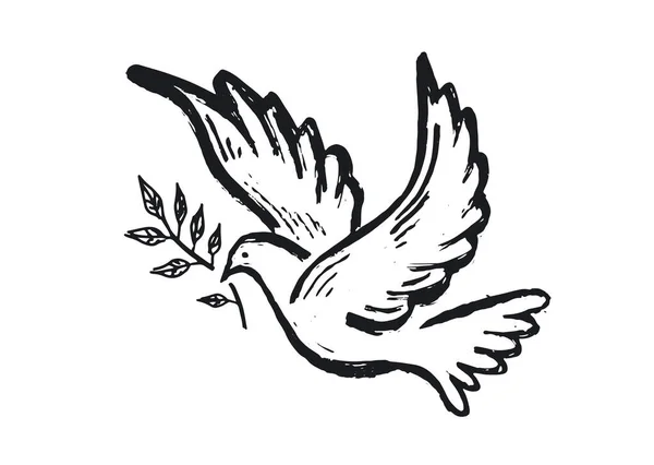 Gołąb Pokoju Ręcznie Rysowane Ilustracji — Wektor stockowy
