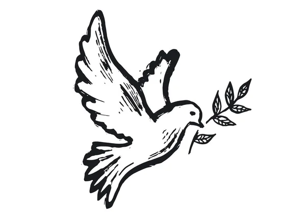 Dove Peace Hand Drawn Illustration — Stock Vector