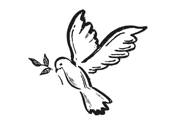 和平之鸽手绘图解 — 图库矢量图片