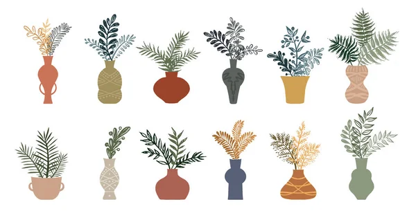 Inredning Med Växter Handritad Illustration — Stock vektor