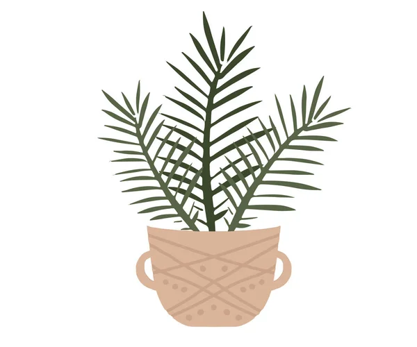 Háztartási Dekoráció Növényekkel Kézzel Rajzolt Illusztráció — Stock Vector
