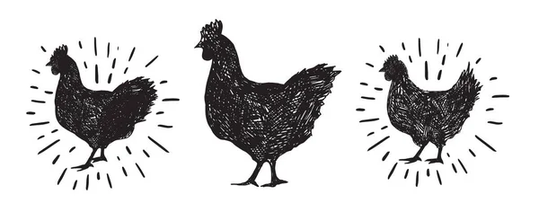 Куриные Ручные Рисунки Векторная Иллюстрация — стоковый вектор