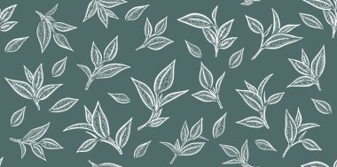 Yeşil çay yaprakları. El çizimi, vektör.